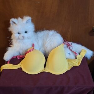 Joe Boxer Yellow Bra with Pink Accents